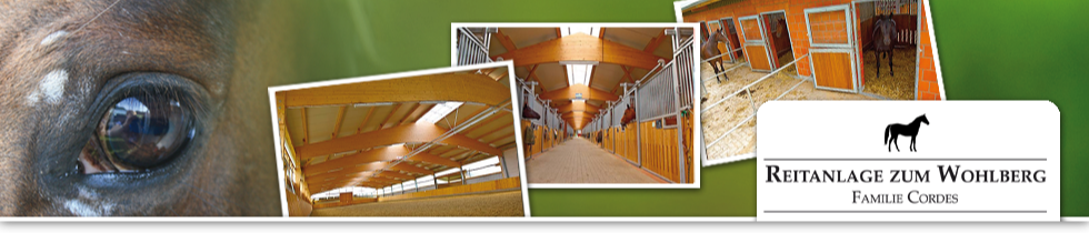reitanlage-zum-wohldberg.de